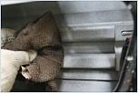 Нажмите на изображение для увеличения
Название: IMG_0933.jpg
Просмотров: 0
Размер:	143.1 Кб
ID:	1081738