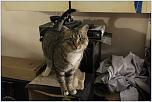 Нажмите на изображение для увеличения
Название: IMG_6257.jpg
Просмотров: 0
Размер:	141.7 Кб
ID:	307350