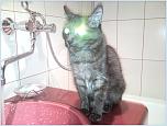 Нажмите на изображение для увеличения
Название: 100527_001122.jpg
Просмотров: 0
Размер:	176.0 Кб
ID:	241358