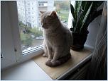 Нажмите на изображение для увеличения
Название: DSCN0751.jpg
Просмотров: 0
Размер:	147.8 Кб
ID:	304728
