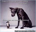 Нажмите на изображение для увеличения
Название: 1955173.jpg
Просмотров: 0
Размер:	50.7 Кб
ID:	554284