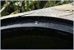 IMG 0458