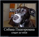 Нажмите на изображение для увеличения
Название: Demotivators_50.jpg
Просмотров: 24
Размер:	45.4 Кб
ID:	84182