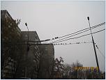 Нажмите на изображение для увеличения
Название: IMG_4936.jpg
Просмотров: 0
Размер:	145.5 Кб
ID:	460026