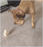 Нажмите на изображение для увеличения
Название: gif-10062015-012.gi.gif
Просмотров: 113
Размер:	1.99 Мб
ID:	1121404