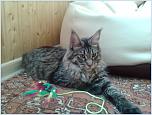 Нажмите на изображение для увеличения
Название: 20131007_113238.jpg
Просмотров: 0
Размер:	122.8 Кб
ID:	460798