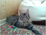 Нажмите на изображение для увеличения
Название: 20131007_113243.jpg
Просмотров: 0
Размер:	131.1 Кб
ID:	460802