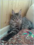 Нажмите на изображение для увеличения
Название: 20131007_113132.jpg
Просмотров: 0
Размер:	103.7 Кб
ID:	460800
