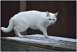 Нажмите на изображение для увеличения
Название: DSC_0018.JPG
Просмотров: 0
Размер:	363.5 Кб
ID:	479206