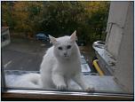 Нажмите на изображение для увеличения
Название: PA040843.jpg
Просмотров: 0
Размер:	155.4 Кб
ID:	479260