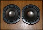 6,5" Tannoy Subs 3121 0148 (Manual: 29-100Hz)