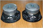 6,5" Tannoy Subs 3121 0148 (Manual: 29-100Hz)