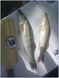 Нажмите на изображение для увеличения
Название: 05082012341.jpg
Просмотров: 0
Размер:	157.7 Кб
ID:	306354