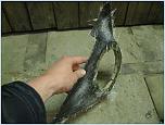 Нажмите на изображение для увеличения
Название: IMG_0686.jpg
Просмотров: 42
Размер:	225.5 Кб
ID:	111613