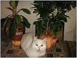 Нажмите на изображение для увеличения
Название: PICT0473.jpg
Просмотров: 0
Размер:	235.5 Кб
ID:	479288