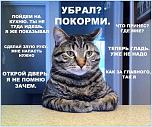 Нажмите на изображение для увеличения
Название: 201502090007-ubral-pokormi-kashamalasha-com.jpg
Просмотров: 0
Размер:	63.3 Кб
ID:	924664