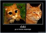 Нажмите на изображение для увеличения
Название: slaaaaa.jpg
Просмотров: 0
Размер:	185.7 Кб
ID:	163673