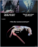 Нажмите на изображение для увеличения
Название: 1378540508_767540887.png
Просмотров: 0
Размер:	397.2 Кб
ID:	442894