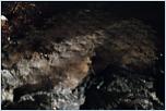 Нажмите на изображение для увеличения
Название: SAM_1064.jpg
Просмотров: 0
Размер:	118.8 Кб
ID:	280768