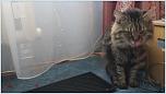 Нажмите на изображение для увеличения
Название: 20141004_132134.jpg
Просмотров: 0
Размер:	103.0 Кб
ID:	650662