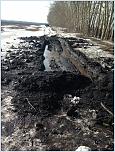 Нажмите на изображение для увеличения
Название: 019.jpg
Просмотров: 0
Размер:	426.3 Кб
ID:	779678
