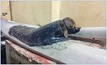 Нажмите на изображение для увеличения
Название: 20131107_231407.jpg
Просмотров: 0
Размер:	136.9 Кб
ID:	467784
