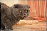 Нажмите на изображение для увеличения
Название: DSC_0128.jpg
Просмотров: 0
Размер:	108.6 Кб
ID:	496956