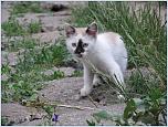 Нажмите на изображение для увеличения
Название: 19.06.13 004.jpg
Просмотров: 0
Размер:	251.5 Кб
ID:	435468