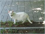 Нажмите на изображение для увеличения
Название: 19.06.13 047.jpg
Просмотров: 0
Размер:	146.7 Кб
ID:	435470