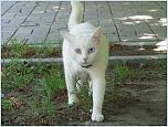 Нажмите на изображение для увеличения
Название: 19.06.13 048.jpg
Просмотров: 0
Размер:	213.3 Кб
ID:	435472