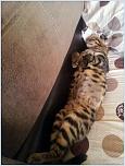 Нажмите на изображение для увеличения
Название: IMG-20130514-WA0001.jpg
Просмотров: 0
Размер:	71.8 Кб
ID:	465334