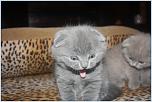 Нажмите на изображение для увеличения
Название: IMG_8351.jpg
Просмотров: 0
Размер:	134.1 Кб
ID:	572096