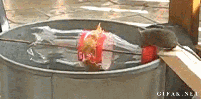Название: 1366386743_353377394.gif
Просмотров: 411

Размер: 2.00 Мб