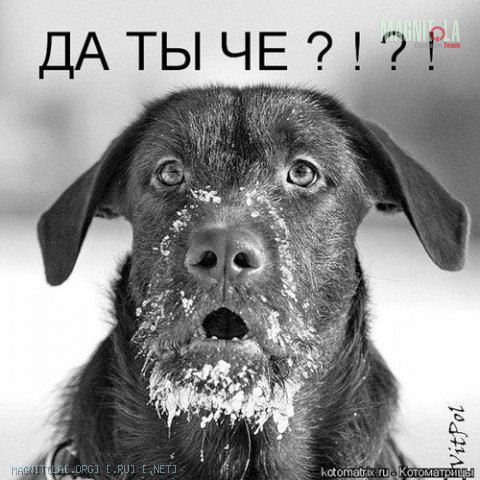 Нажмите на изображение для увеличения
Название: 144838484425625979.jpg
Просмотров: 0
Размер:	59.7 Кб
ID:	951354