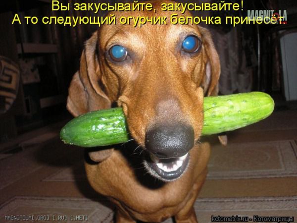 Название: 141908_1_1302263149.jpg
Просмотров: 49

Размер: 77.9 Кб
