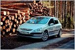 Peugeot 307. Silver Metall Sound-48cf1d35a2a93f85-large.jpg