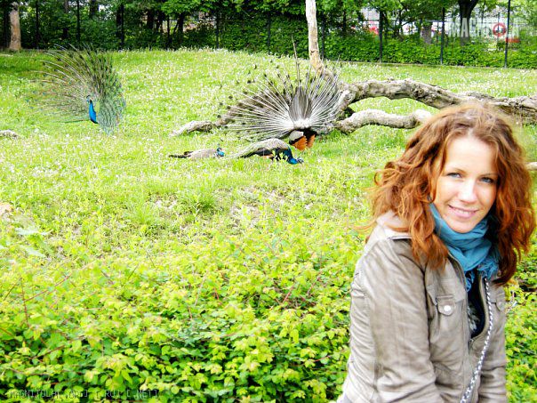 Нажмите на изображение для увеличения
Название: 59164-albums2160-picture103593.jpg
Просмотров: 211
Размер:	116.3 Кб
ID:	104108