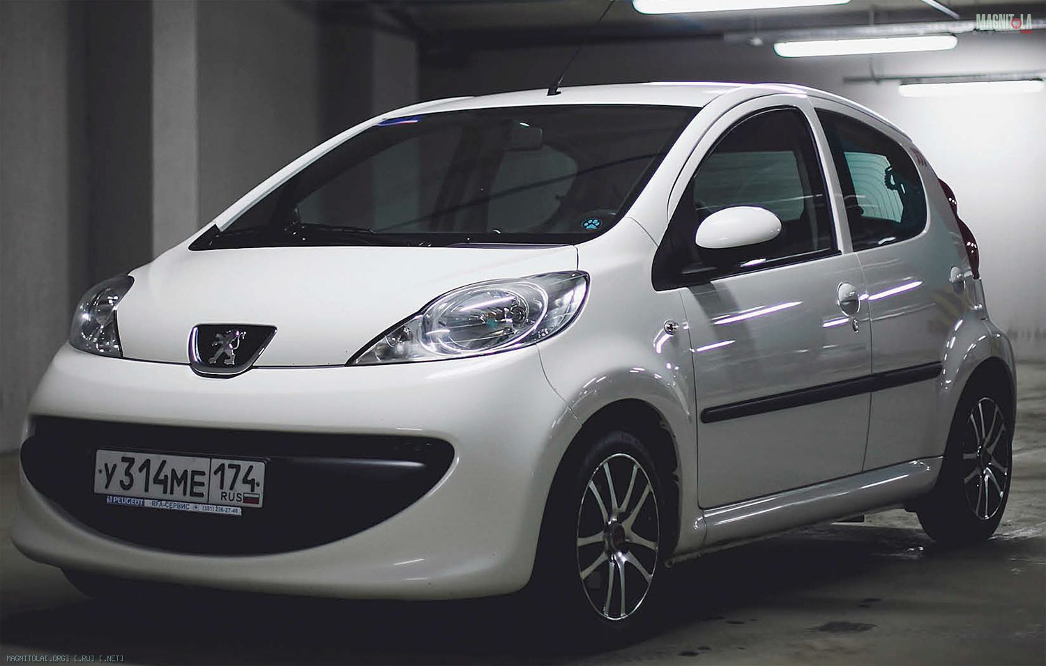 Хроники Магнитолы - Своя игра. Peugeot 107. Тренировки на кошках