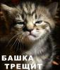 Аватар для андрей908