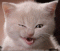 Cimon