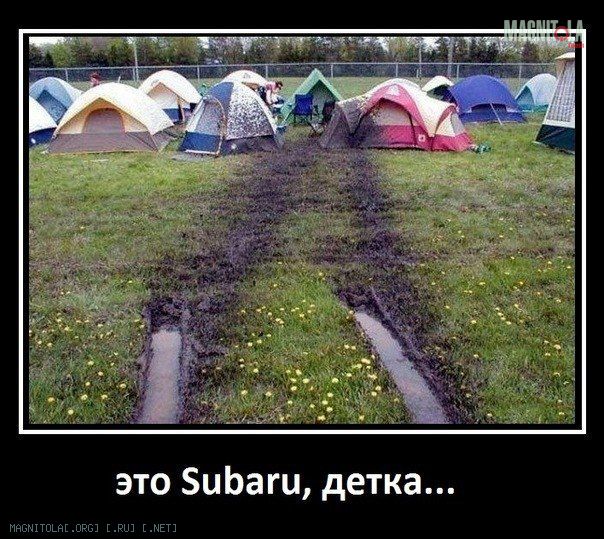 Размещенное изображение